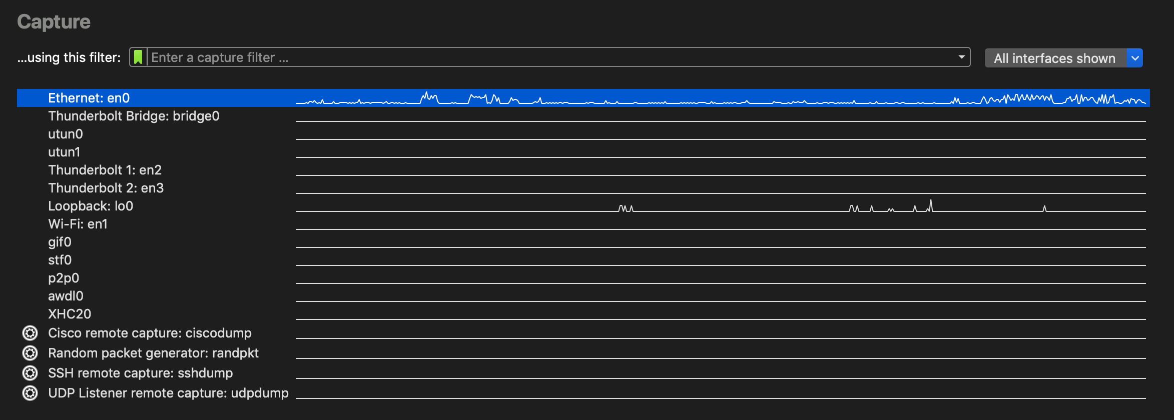 ws capture interfaces main macos